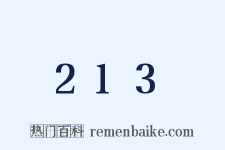 213是什么意思的图片